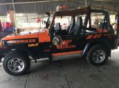 Cần bán lại xe Jeep Wrangler đời 1996, hai màu, nhập khẩu nguyên chiếc chính chủ, 310tr