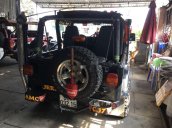 Cần bán lại xe Jeep Wrangler đời 1996, hai màu, nhập khẩu nguyên chiếc chính chủ, 310tr