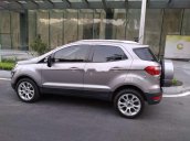 Bán Ford EcoSport AT đời 2018, màu xám, nhập khẩu nguyên chiếc, 480 triệu