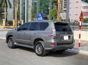 Cần bán gấp Lexus GX 460 năm 2009, màu xám, nhập khẩu nguyên chiếc