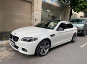 Bán BMW 5 Series năm sản xuất 2020, nhập khẩu còn mới