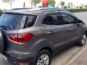 Bán Ford EcoSport sản xuất 2017, xe gia đình, đi giữ gìn