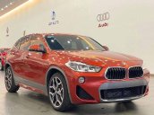 Cần bán xe BMW X2 đời 2018, màu nâu, nhập khẩu chính chủ