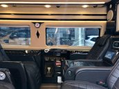 Cần bán xe Ford Transit Limousine sản xuất năm 2019
