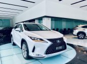 Lexus RX300 xe mới nhập khẩu 100% chính hãng, ưu đãi độc quyền VIP, xe có sẵn giao ngay, phục vụ 24/07