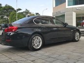 Bán BMW 520i xe nhập Đức nguyên chiếc 2014