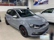 Khuyến mãi tháng 11 Volkswagen Polo Hatchback giảm 35 triệu - số lượng có hạn