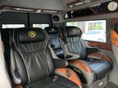 Bán xe Ford Transit Limousine đời 2019, màu đen, 9 chỗ