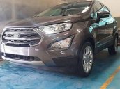 Bán Ford EcoSport Trend năm sản xuất 2020, màu xám giá cạnh tranh