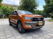 Cần bán xe Ford Ranger Wildtrak 3.2 đời 2017, nhập khẩu nguyên chiếc, 760tr