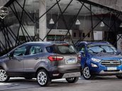 Ford EcoSport model 2021 nấng cấp hiện đại - Khuyến mãi cực VIP