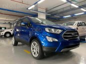 Ford EcoSport model 2021 nấng cấp hiện đại - Khuyến mãi cực VIP