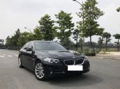 Cần bán xe BMW 5 Series 520i đời 2016, màu đen