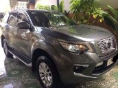 Bán Nissan Terra sản xuất 2019, màu xám, nhập khẩu 