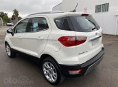 Ưu đãi tốt cho Ford Ecosport Trend Titanium 2020 mới - liên hệ Cát