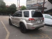 Cần bán gấp Ford Escape năm 2010, màu bạc còn mới