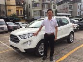 Ford EcoSport 2020 - giá cực ưu đãi - giao xe ngay