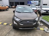 Ford EcoSport 2020 - ưu đãi khủng giá tốt