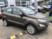 Ford EcoSport 2020 - ưu đãi khủng giá tốt