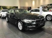 Cần bán xe BMW 5 Series 520i sản xuất năm 2019, màu đen, nhập khẩu