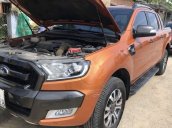 Cần bán Ford Ranger sản xuất năm 2017, nhập khẩu nguyên chiếc, 738 triệu