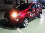 Cần bán Ford EcoSport đời 2019, màu đỏ