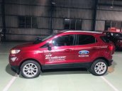 Cần bán Ford EcoSport đời 2019, màu đỏ