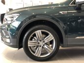 KM cực khủng tháng 10 cho Tiguan Luxury S, màu xanh rêu lạ mắt, không đụng hàng, xe giao ngay, tận nhà. Hỗ trợ NH