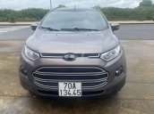 Bán Ford EcoSport đời 2017, màu xám, nhập khẩu nguyên chiếc