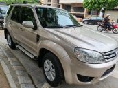 Bán ô tô Ford Escape năm sản xuất 2010, màu vàng còn mới