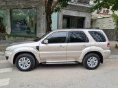 Bán ô tô Ford Escape năm sản xuất 2010, màu vàng còn mới