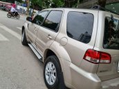 Bán ô tô Ford Escape năm sản xuất 2010, màu vàng còn mới