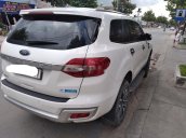 Cần bán lại xe Ford Everest sản xuất năm 2018, xe nhập