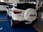 Chính chủ cần bán xe Ford EcoSport sản xuất 2020, màu trắng, giá 469 triệu