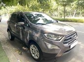 Ecosport Titanium 2019 nâu, xe đẹp cho mọi người