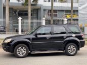 Cần bán Ford Escape đời 2010, màu đen