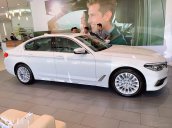 Xe BMW 5 Series 530i giá tốt cực hot - Hỗ trợ trả góp toàn quốc