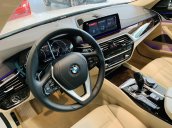 Xe BMW 5 Series 530i giá tốt cực hot - Hỗ trợ trả góp toàn quốc