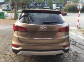 Cần bán xe Hyundai SantaFe đời 2017, màu nâu, máy dầu