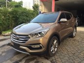 Cần bán xe Hyundai SantaFe đời 2017, màu nâu, máy dầu