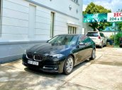 Bán BMW 5 Series 520i đời 2016, màu đen