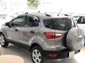 Bán xe Ford EcoSport đời 2019, màu xám 