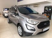 Bán xe Ford EcoSport đời 2019, màu xám 