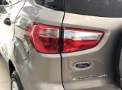 Bán xe Ford EcoSport đời 2019, màu xám 