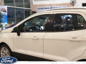 Trả trước 200Tr đưa xe Ford Ecosport mới cóng về nhà - LH Hoàng Ford Đà Nẵng