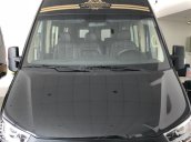 Hyundai Solati Limousine S1 10 - 12 ghế Auto Kingdom, tặng chi phí đăng ký