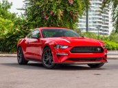 Cần bán Ford Mustang High Performance năm sản xuất 2020, màu đỏ, nội thất đen