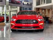 Cần bán Ford Mustang High Performance năm sản xuất 2020, màu đỏ, nội thất đen