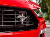 Cần bán Ford Mustang High Performance năm sản xuất 2020, màu đỏ, nội thất đen