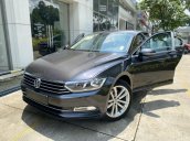 Vw Passat Bluemotion High màu xám - Sở hữu xe Đức dễ dàng - Khuyến mãi giá tốt